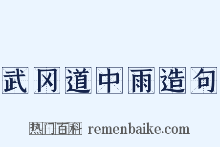 武冈道中雨造句是什么意思的图片